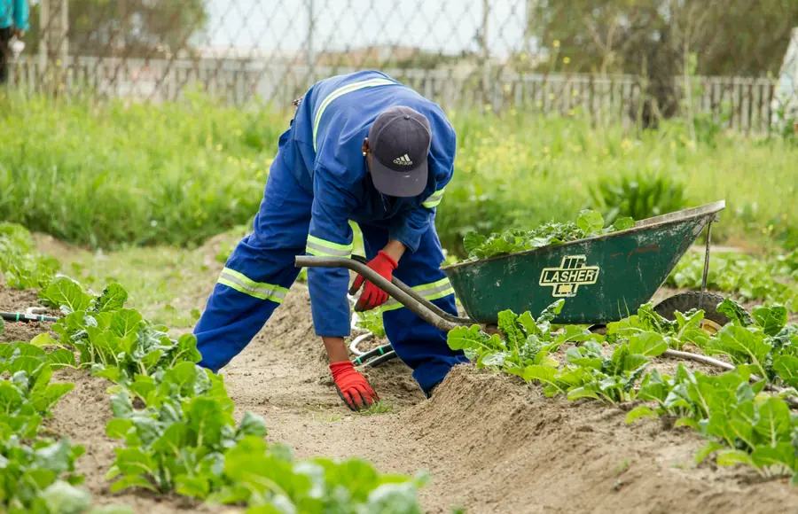 Arbeiten an einem Beet mit Schubkarre und Handwerkzeug